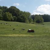 Dampflokrunde-Kaltental-1.jpg