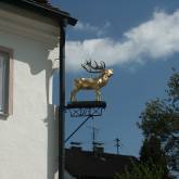 Gasthaus-Goldener-Hirsch-Frankenhofen.jpg